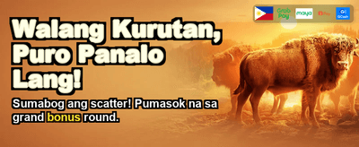 Premium Gaming Experience
